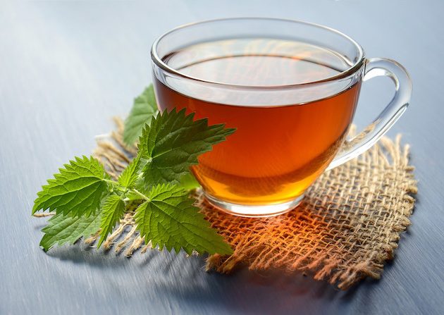 Tisane d’ortie : composition, bienfaits pour la santé et vertus pour maigrir