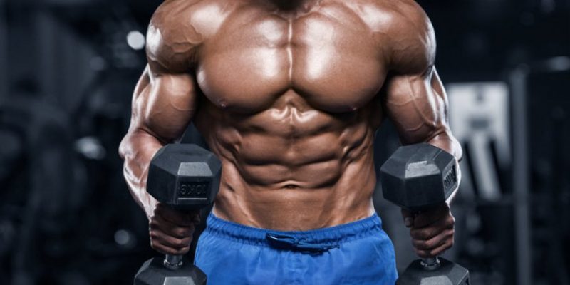 Vous nous remercierez - 10 conseils sur http://association-unie.fr/news/tamoxif-ne-en-musculation.html que vous devez savoir