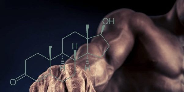 Les meilleurs boosters de testosterone